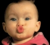 rammbo